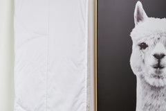 Alpaca 150gsm Summer Weight Duvet - Made in NZ